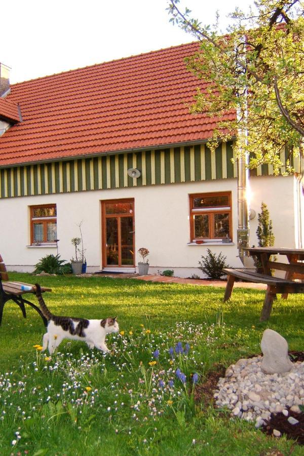Bio Pension Kirschenfee Sontheim  Екстериор снимка